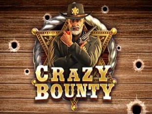 Crazy Bounty game icon