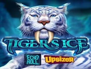 Tigers Ice game thumbnail